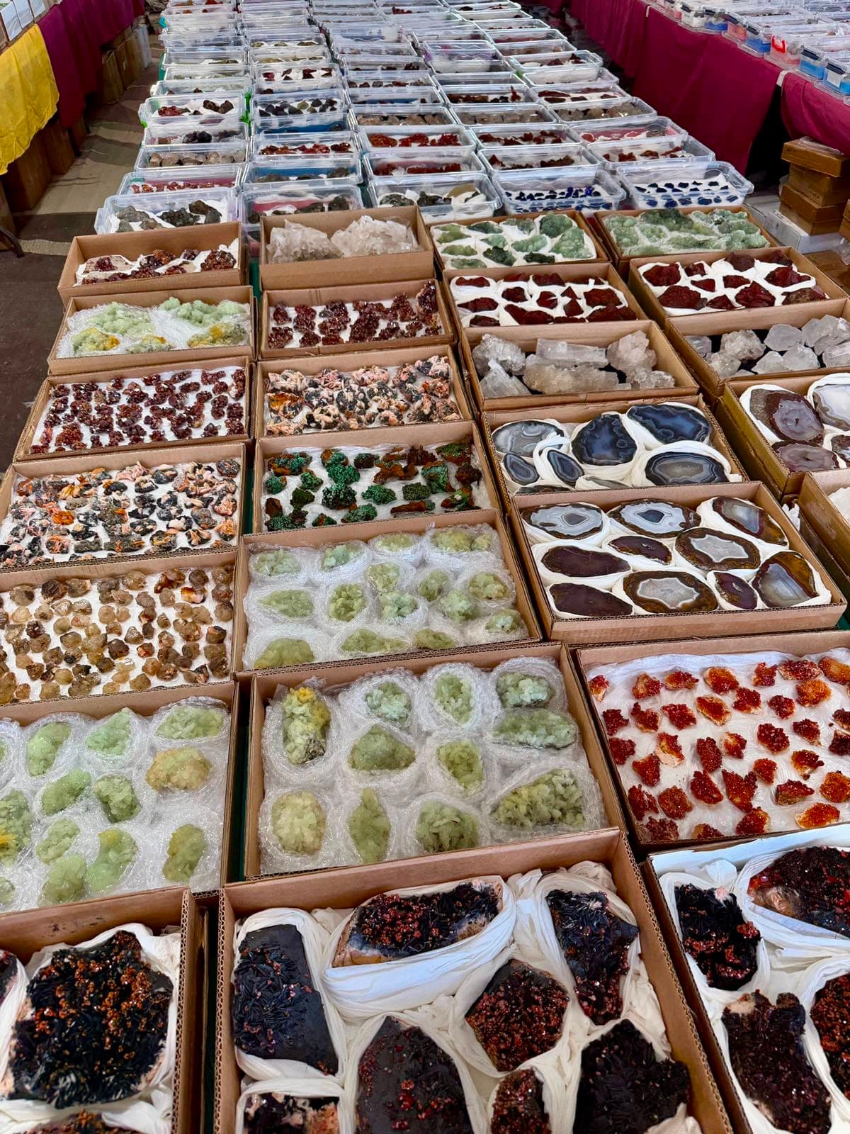 Filas de cajas de cartón con diversos minerales de colores, cristales y láminas de ágata pulida.